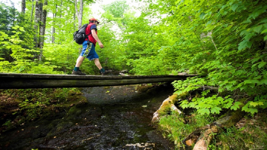vt_lemingtontownforest vt_lemingtontownforest